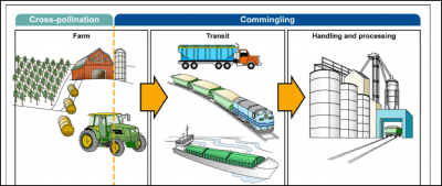 gene flow diagram